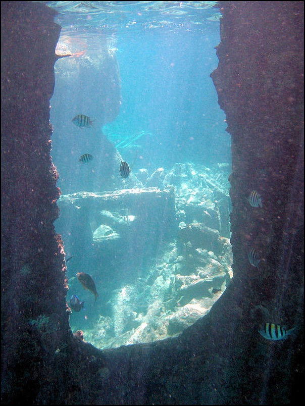 Snorkeling in underwater shipwreck reef